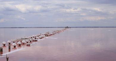 Экскурсии в Озеро Сасык-Сиваш (розовое озеро) из Симферополя 2024